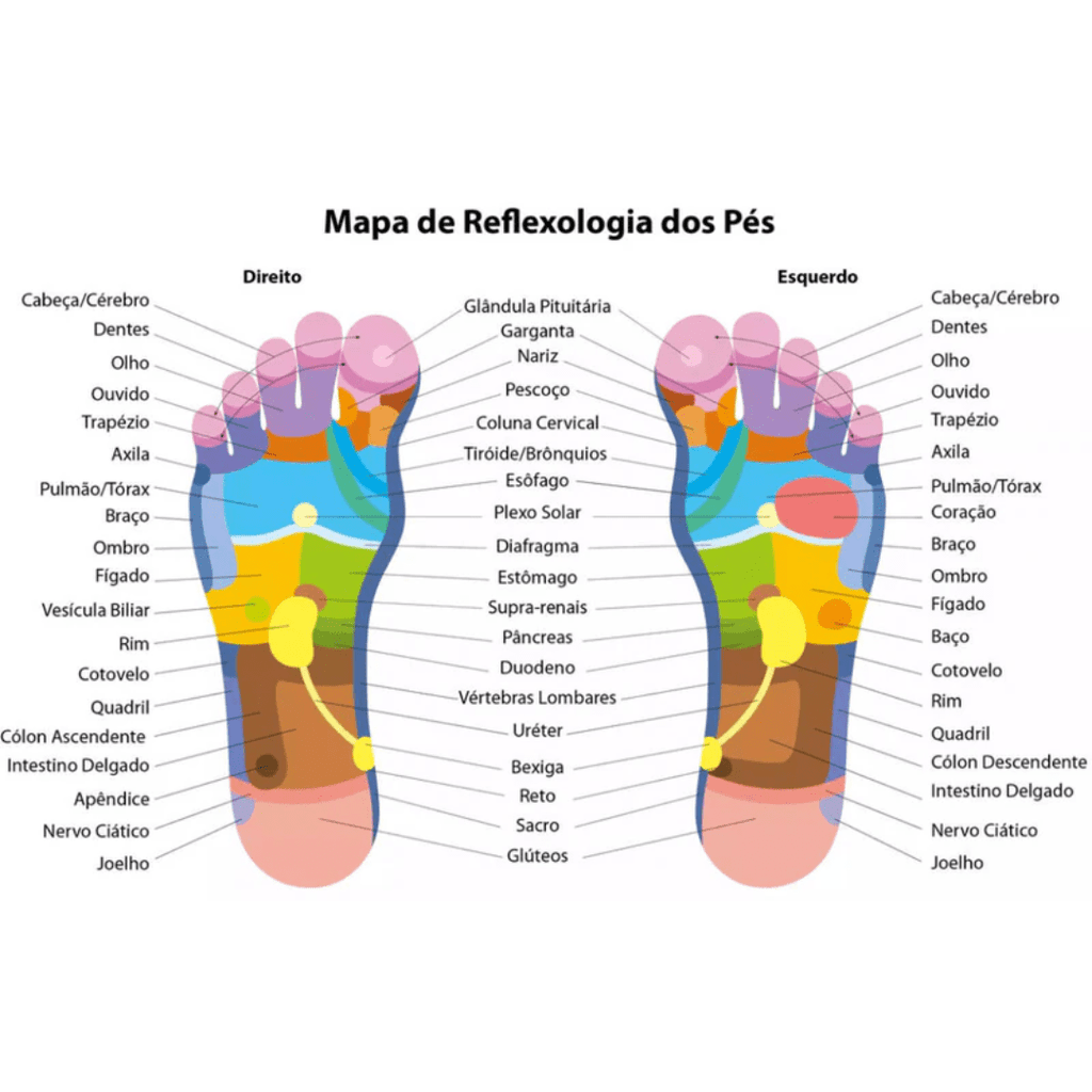 kit reflexologia podal: meias com mapa e massageador terapêutico