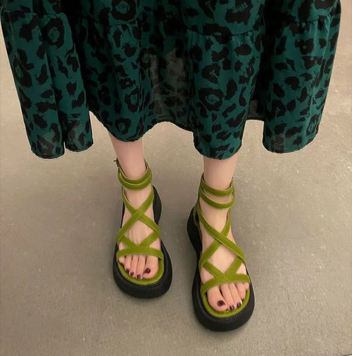 44061006725361|44061006758129|44061006790897|44061006823665|44061006856433|44061006889201